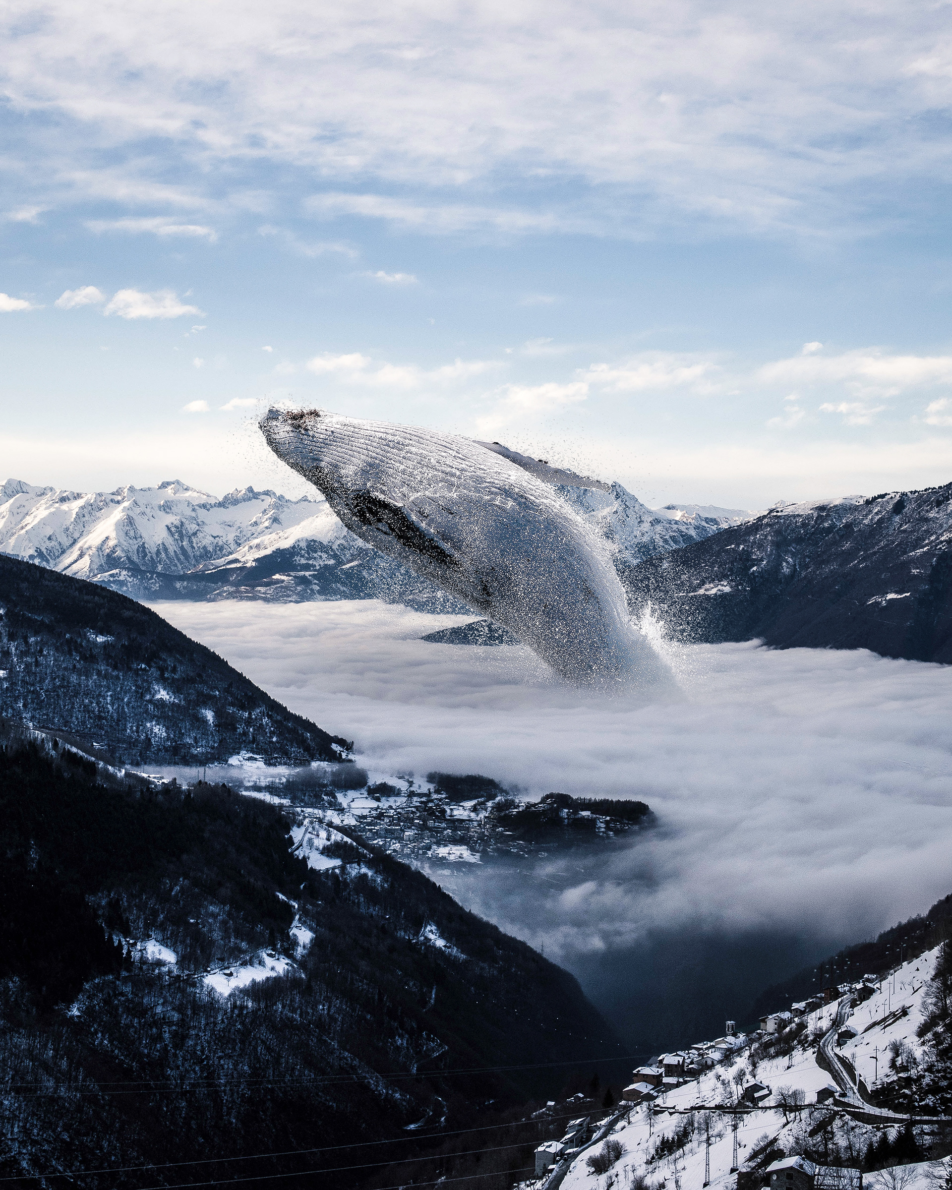 whale_in_mountains-1